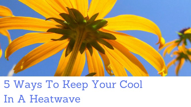 Keep Your Cool in a Heatwave (1)